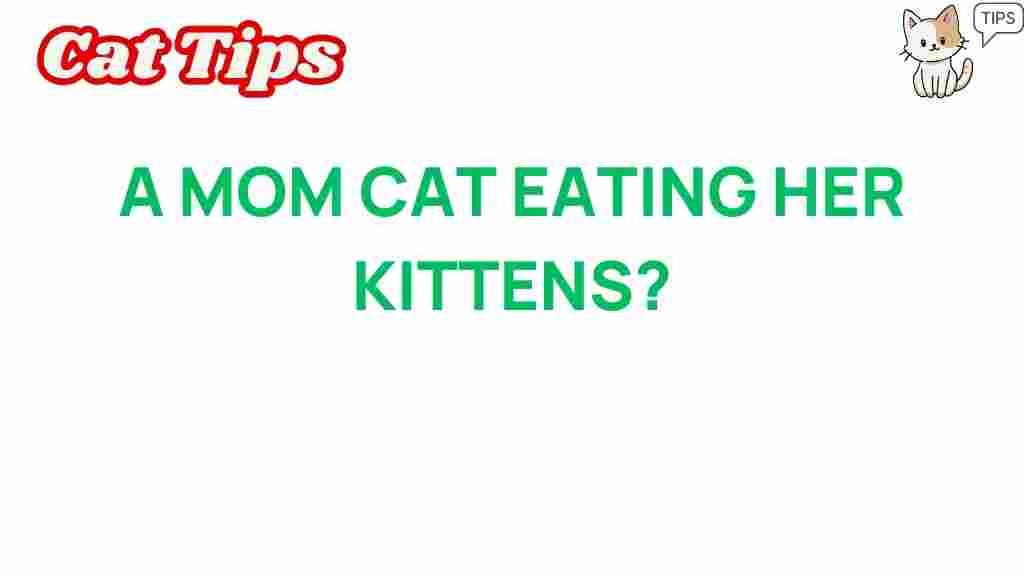 cat-behavior-eating-kittens