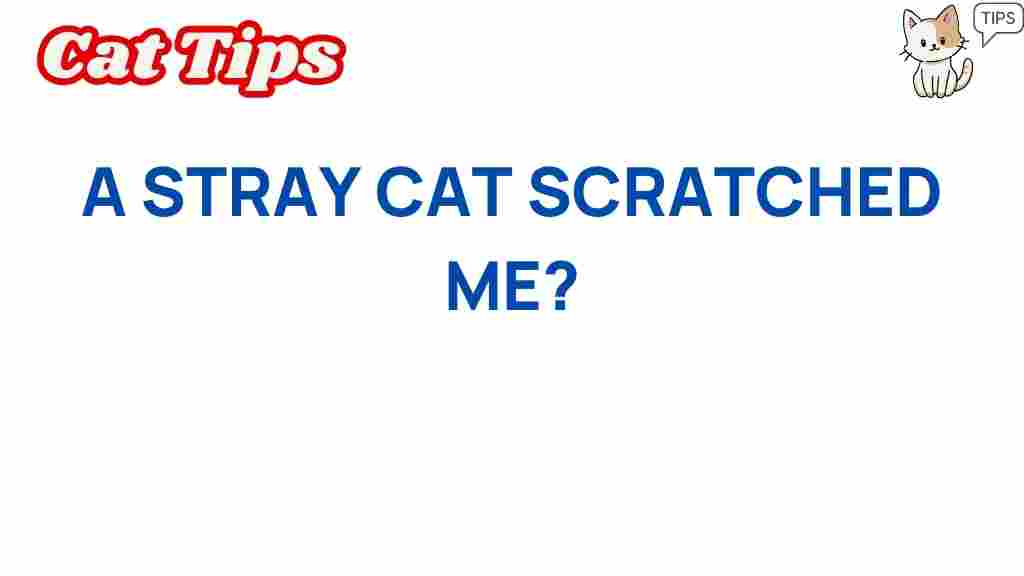 stray-cat-scratch-guide