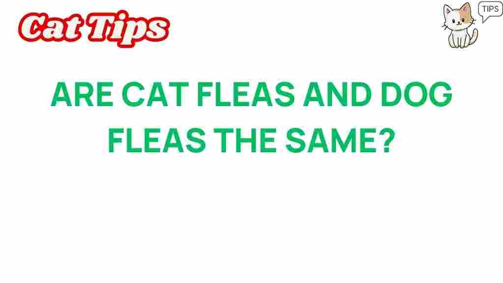 cat-fleas-vs-dog-fleas