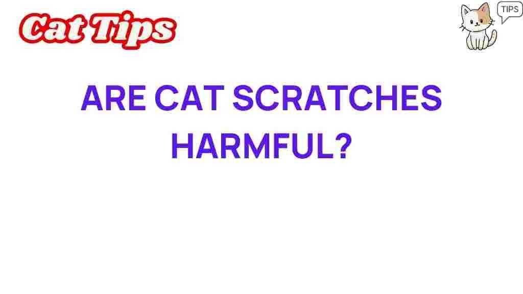 cat-scratches-dangerous