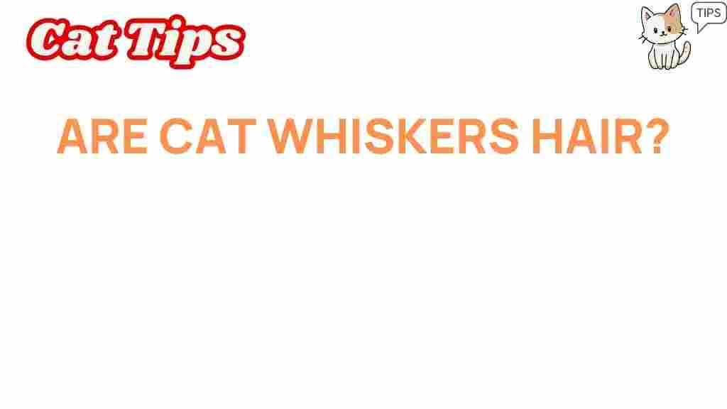 cat-whiskers-hair