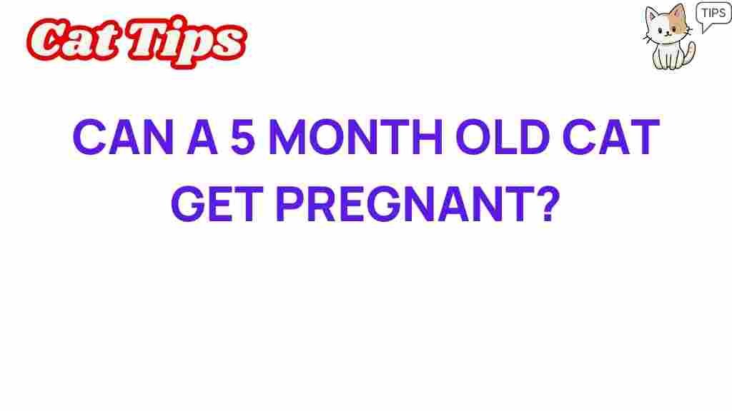 can-a-5-month-old-cat-get-pregnant