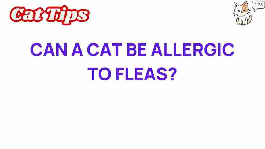 can-a-cat-be-allergic-to-fleas