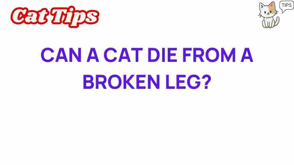 cat-health-broken-leg