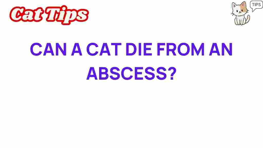 can-a-cat-die-from-an-abscess