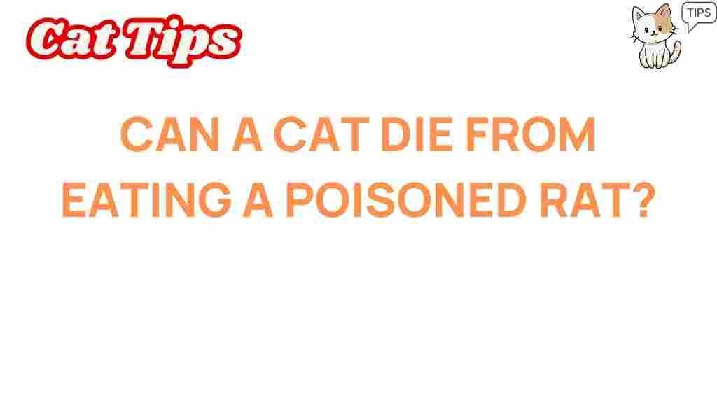 can-a-cat-die-from-eating-a-poisoned-rat