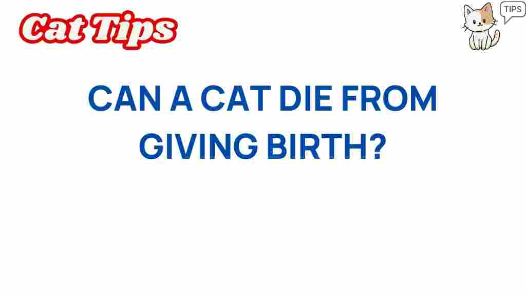 can-a-cat-die-from-giving-birth