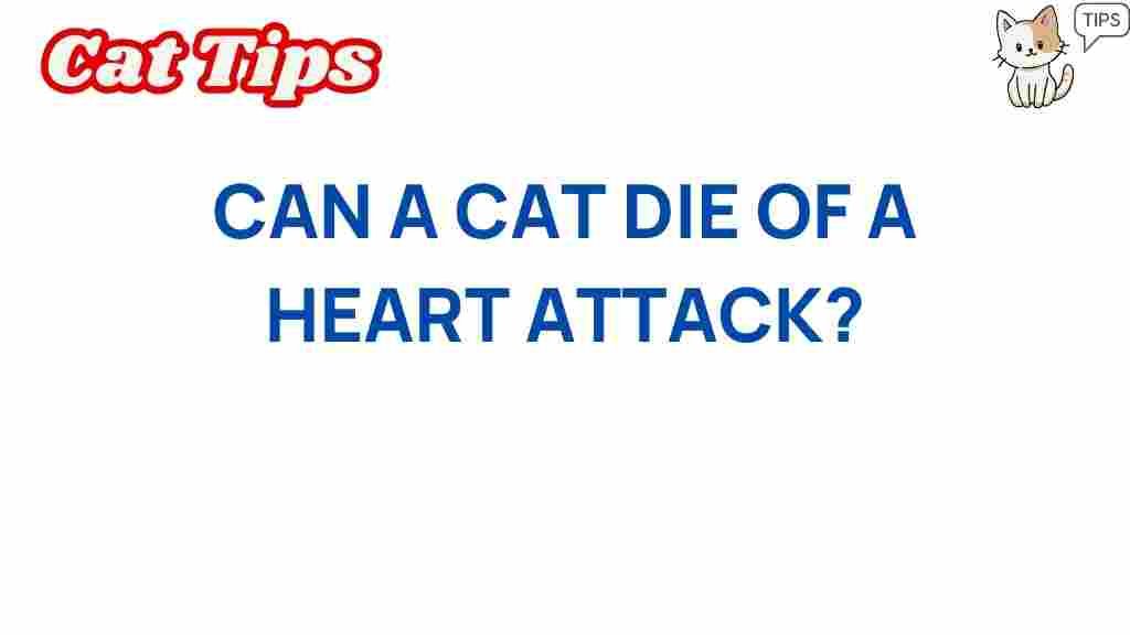 can-a-cat-die-of-a-heart-attack