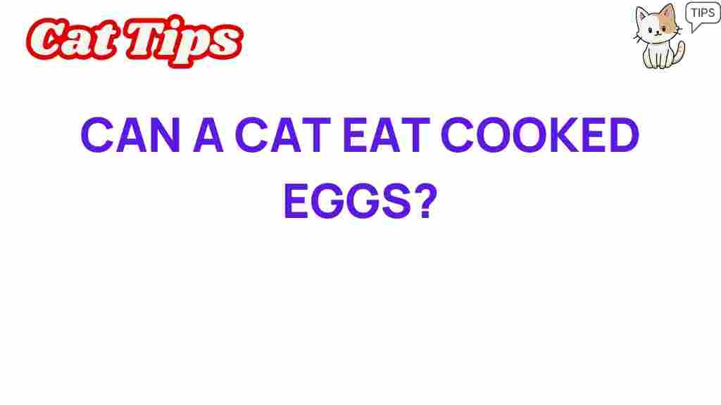 can-cats-eat-cooked-eggs