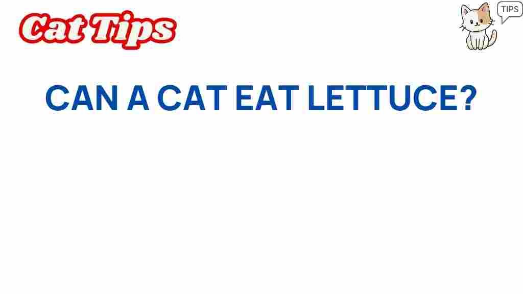 can-cat-eat-lettuce