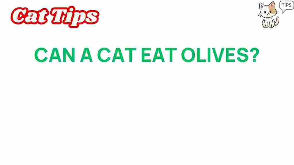 can-cats-eat-olives