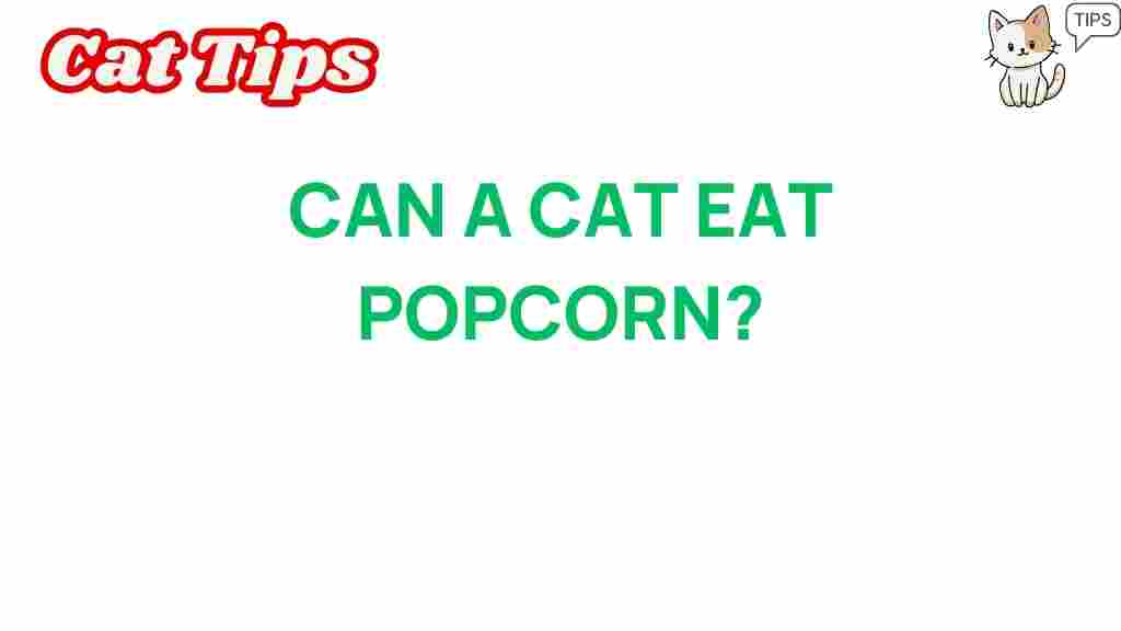 can-cats-eat-popcorn
