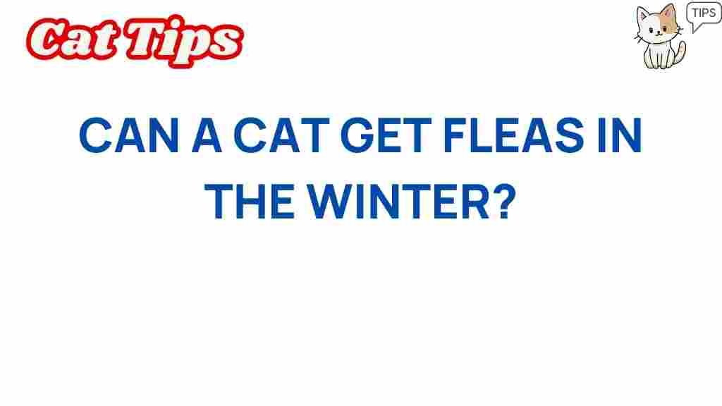 cat-fleas-winter