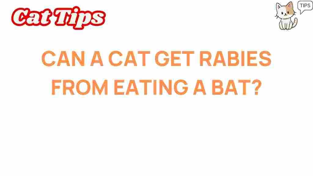 can-cats-get-rabies-from-eating-bats