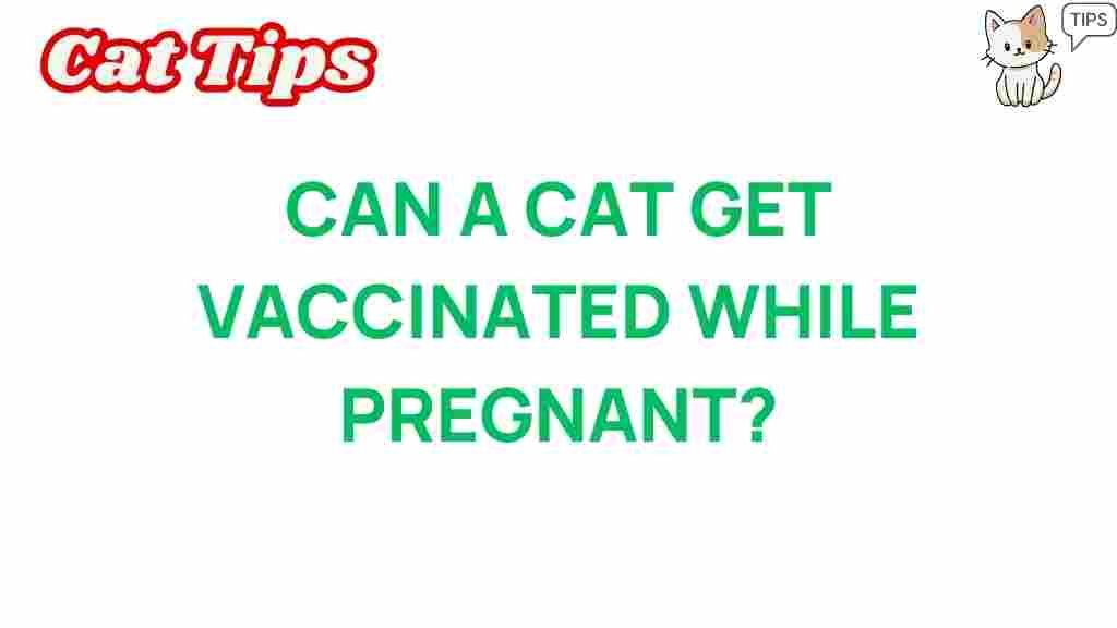 can-cat-get-vaccinated-while-pregnant