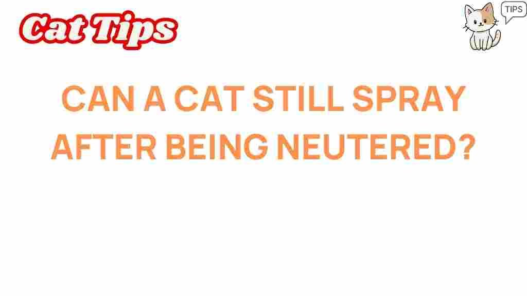 neutered-cats-spray