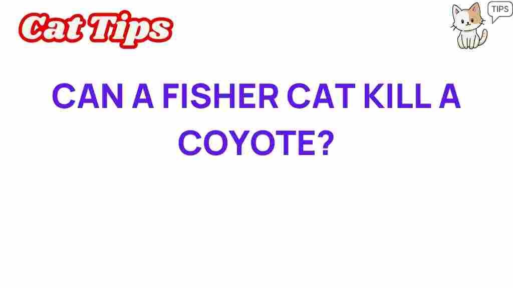 fisher-cat-coyote-interaction