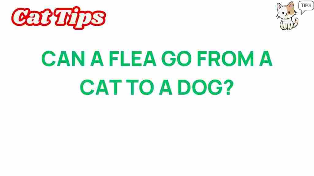 can-fleas-jump-from-cat-to-dog