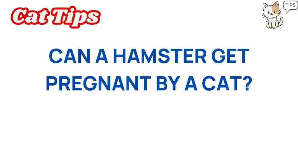 can-a-hamster-get-pregnant-by-a-cat