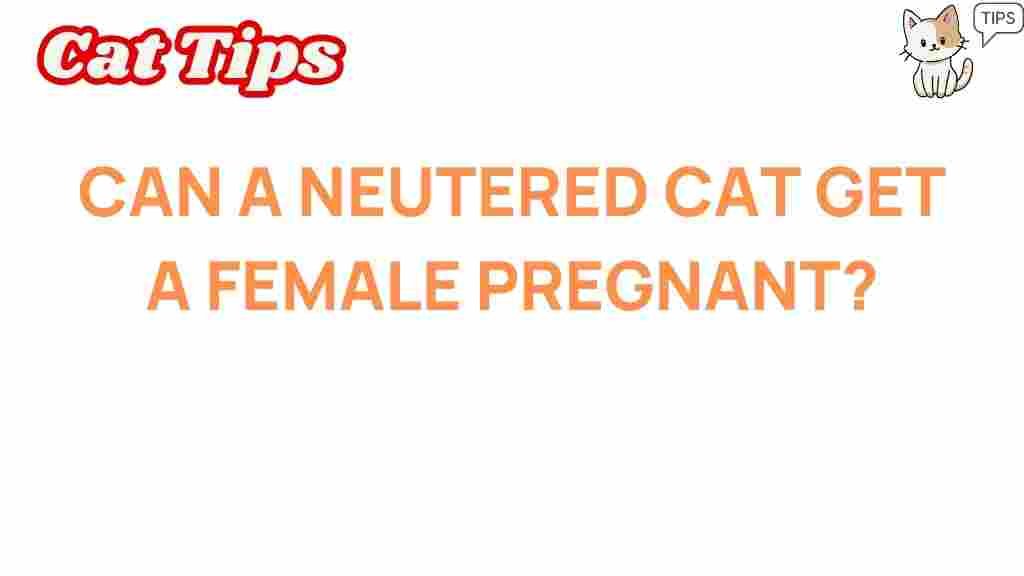 neutered-cat-pregnancy-myths