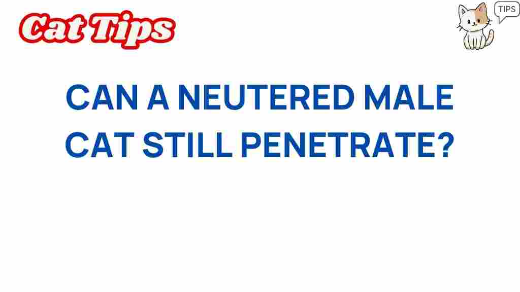 neutered-male-cat-penetration-behaviors