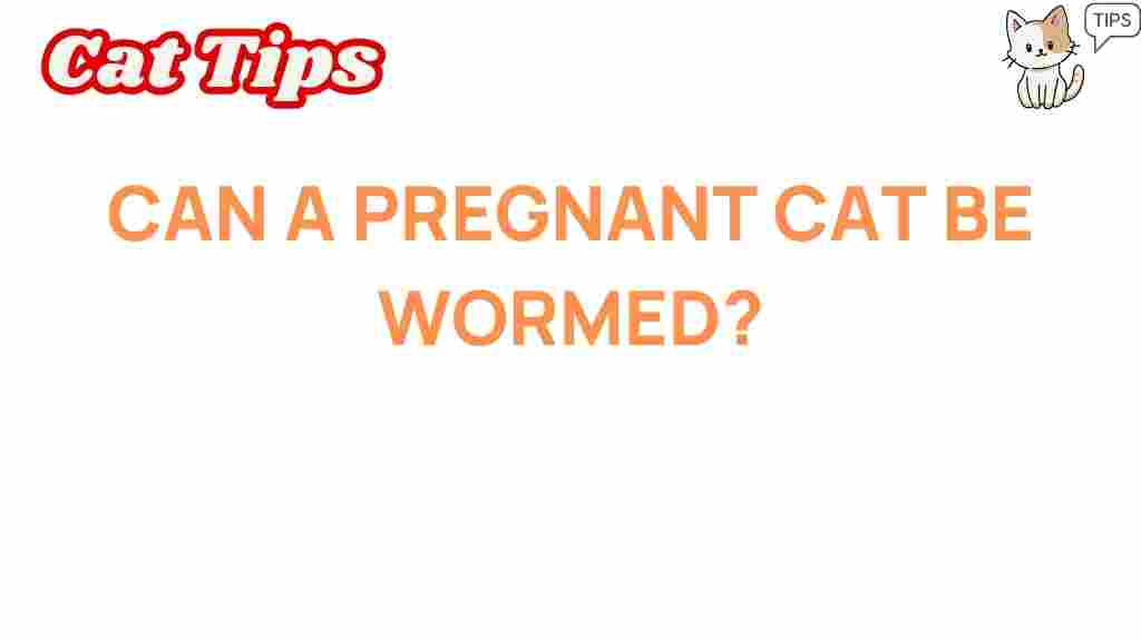 pregnant-cat-worming