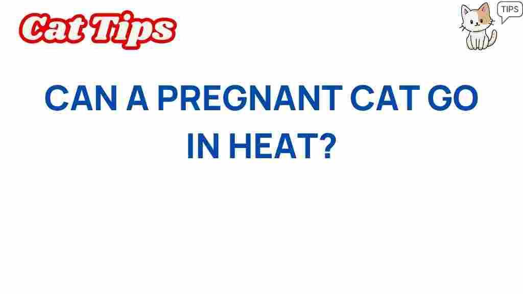 pregnant-cat-go-into-heat