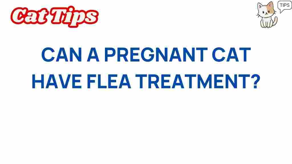 flea-treatment-pregnant-cats