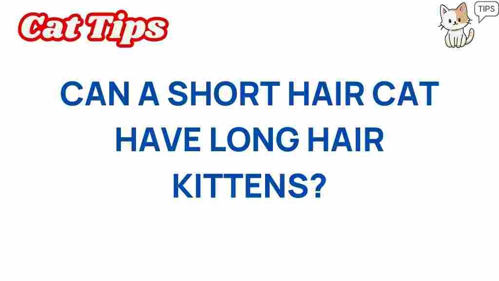 short-haired-cats-long-haired-kittens