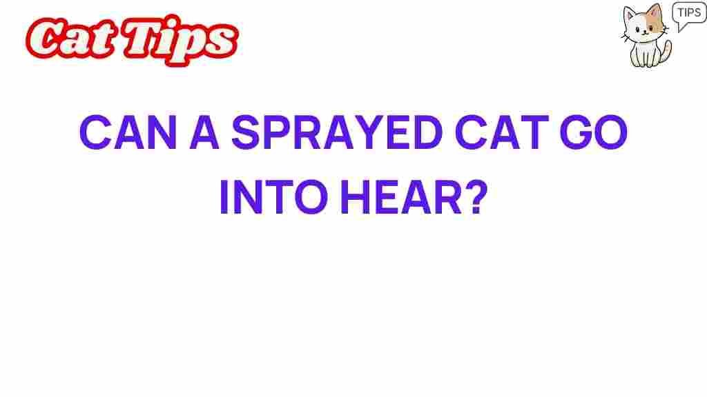 can-a-spayed-cat-go-into-heat