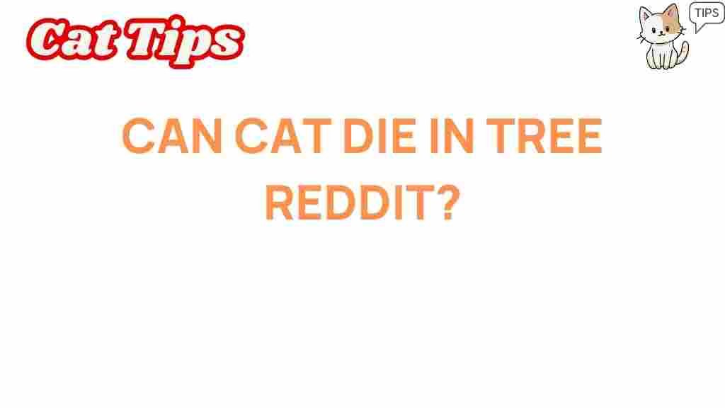 can-cats-die-in-trees