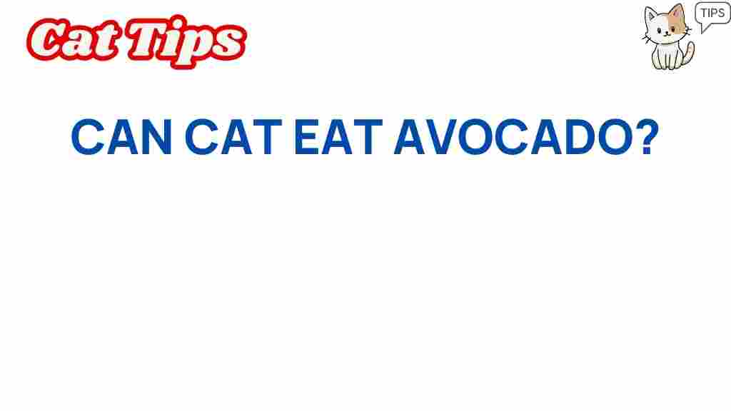 can-cats-eat-avocado