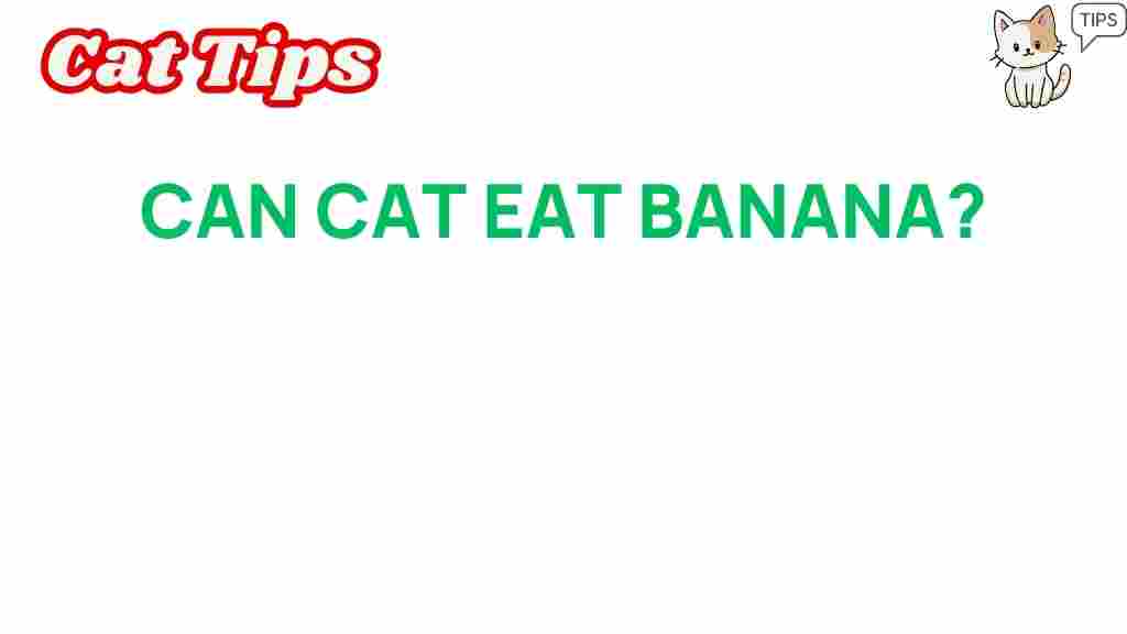 can-cats-eat-banana