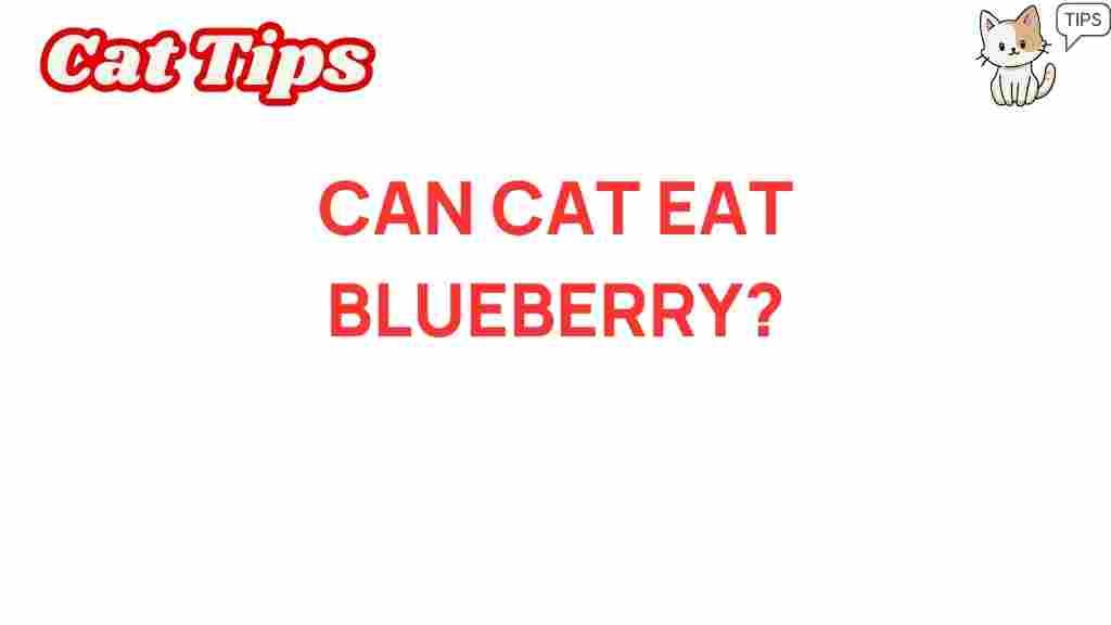 can-cats-eat-blueberries