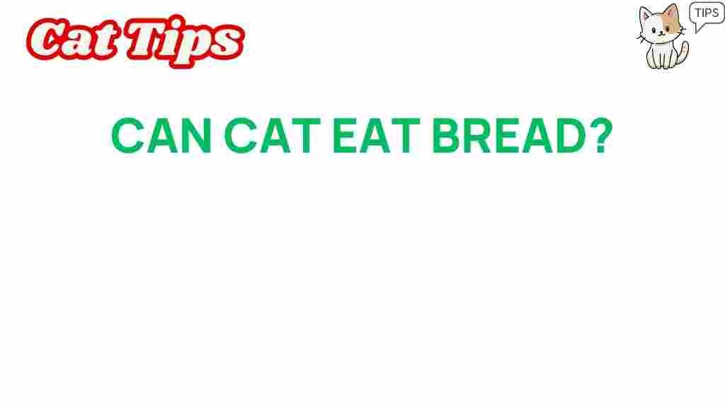 can-cats-eat-bread-safely