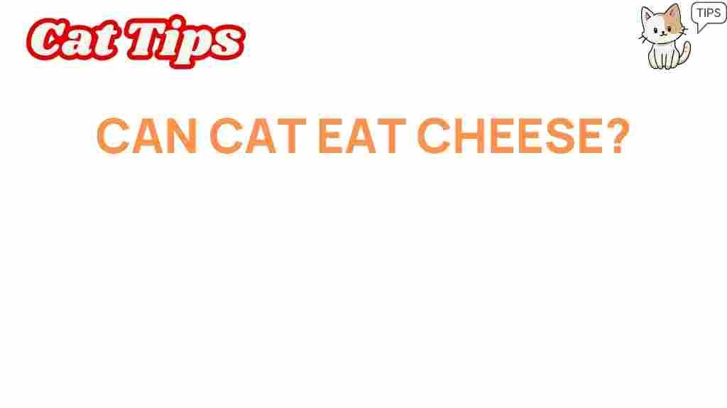 can-cats-eat-cheese