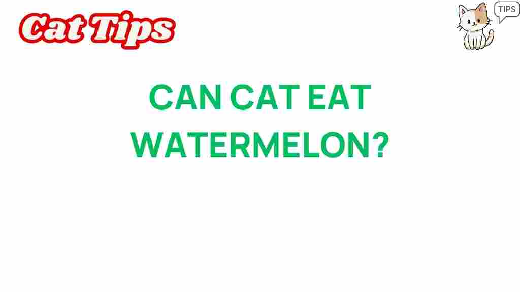 can-cats-eat-watermelon