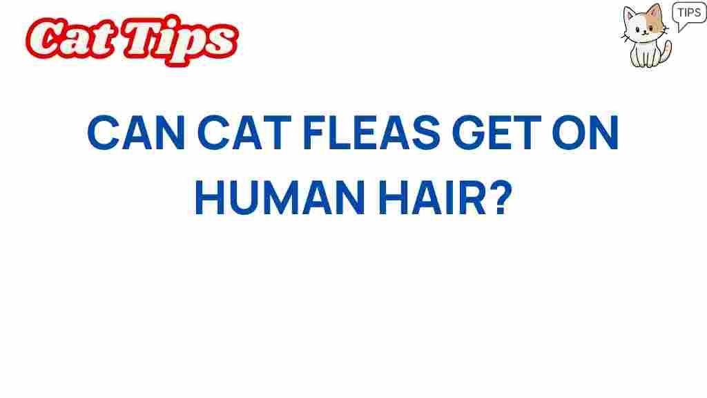 can-cat-fleas-human-hair