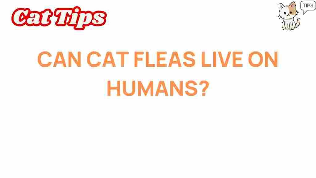 can-cat-fleas-survive-on-humans
