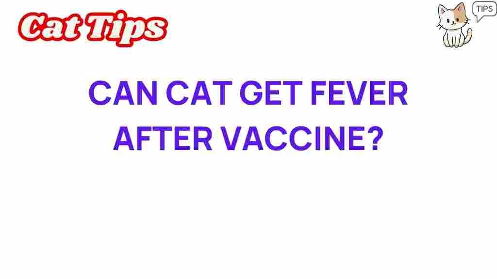 cat-fever-after-vaccination