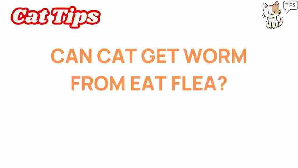 can-cat-get-worm-from-eating-flea