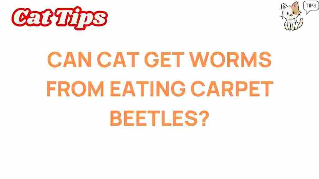 can-cats-get-worms-from-eating-carpet-beetles