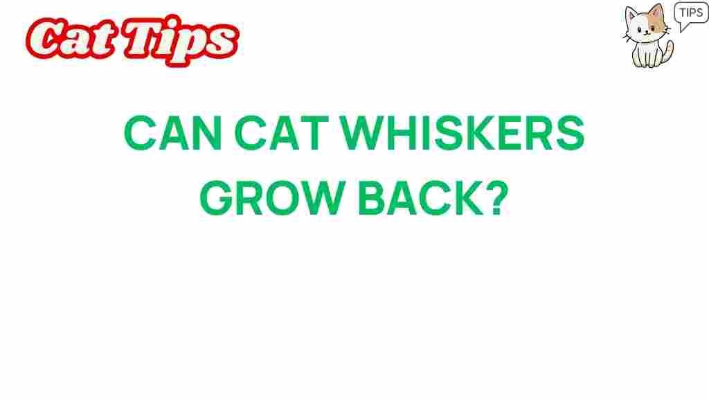 cat-whiskers-regrowth