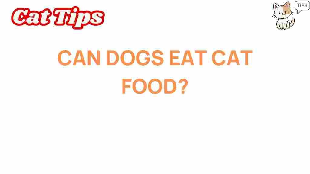 can-dogs-eat-cat-food
