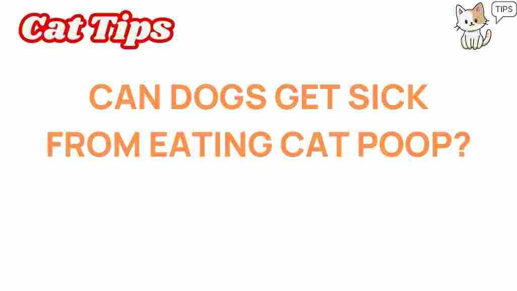 can-dogs-get-sick-from-eating-cat-poop