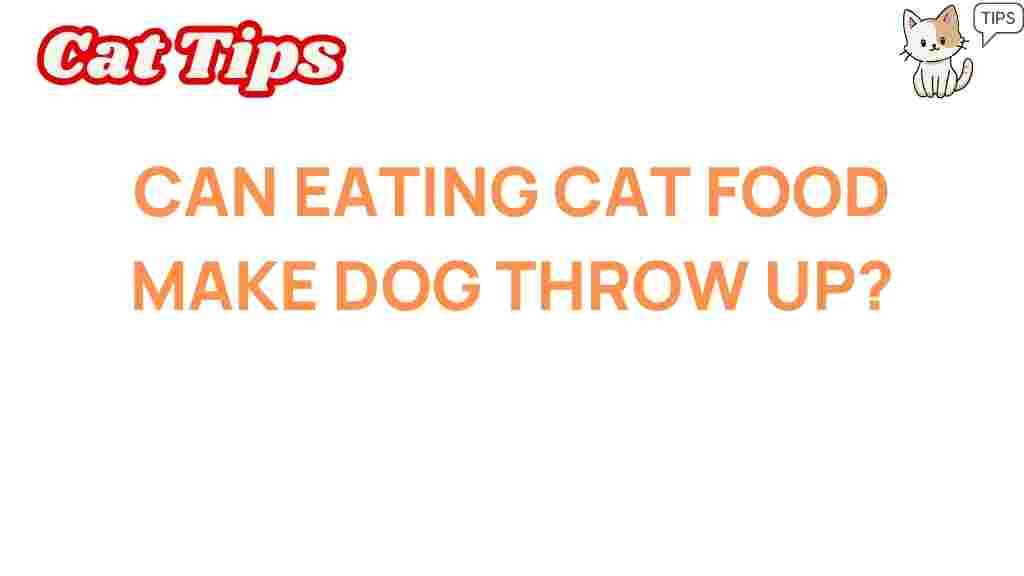can-eating-cat-food-make-dog-throw-up