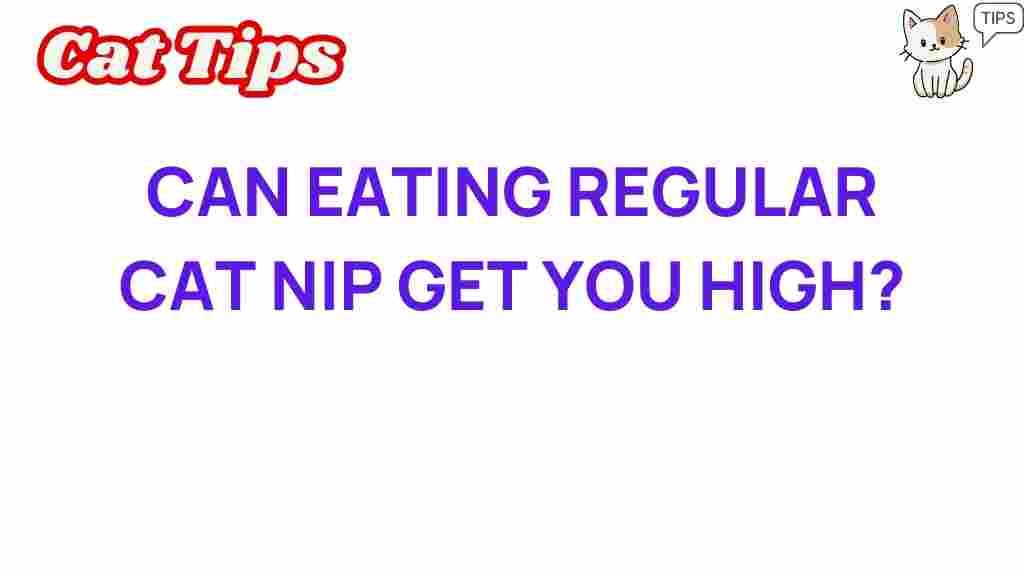 catnip-high-effect