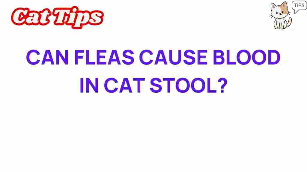 fleas-cause-blood-in-cat-stool