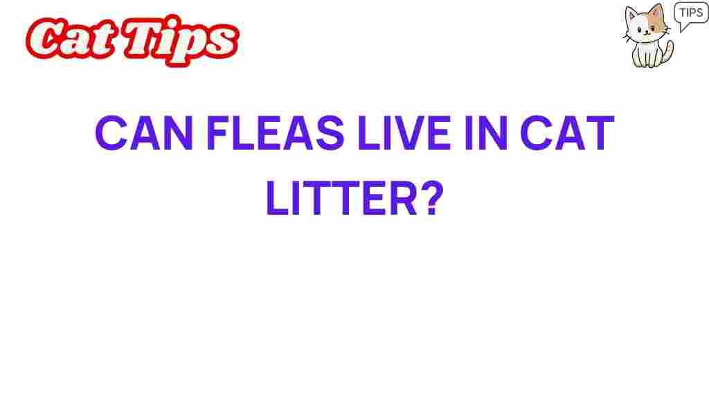 can-fleas-live-in-cat-litter