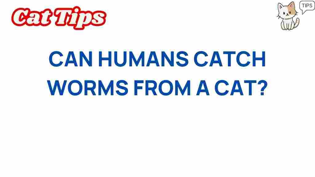 can-humans-catch-worms-from-cats